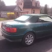 Ze života se zelenou schizofrenií...