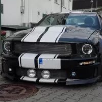 Stádo divokých Mustangů