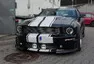 Stádo divokých Mustangů