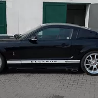 Stádo divokých Mustangů
