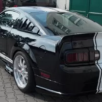 Stádo divokých Mustangů