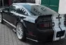 Stádo divokých Mustangů