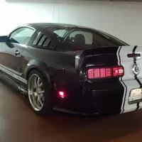 Stádo divokých Mustangů