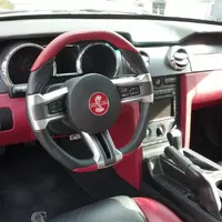 Stádo divokých Mustangů