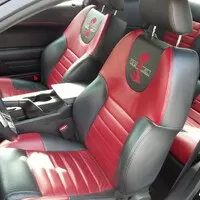 Stádo divokých Mustangů