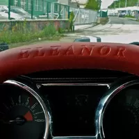 Stádo divokých Mustangů