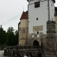 Krab ochočeným závodníkem?