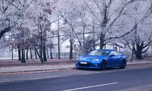 Zima pozadu