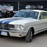 Paní Knightriderová přijíždí Mustangem