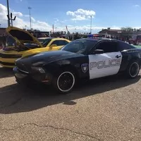 Roadkill Zip-Tie Drags