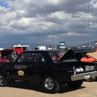 Roadkill Zip-Tie Drags