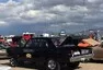 Roadkill Zip-Tie Drags