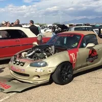 Roadkill Zip-Tie Drags