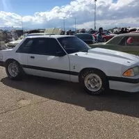 Roadkill Zip-Tie Drags