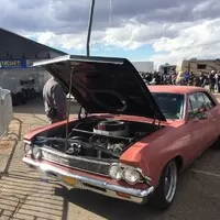 Roadkill Zip-Tie Drags