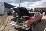 Roadkill Zip-Tie Drags