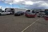 Roadkill Zip-Tie Drags