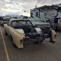 Roadkill Zip-Tie Drags