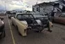 Roadkill Zip-Tie Drags
