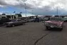 Roadkill Zip-Tie Drags