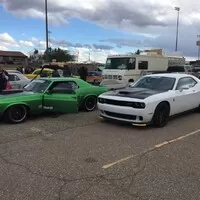 Roadkill Zip-Tie Drags