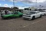 Roadkill Zip-Tie Drags