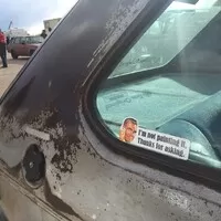Roadkill Zip-Tie Drags