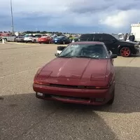 Roadkill Zip-Tie Drags
