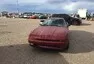 Roadkill Zip-Tie Drags