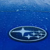 logo v ledu