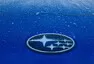 logo v ledu