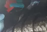Čištění podběhů s kartáčem