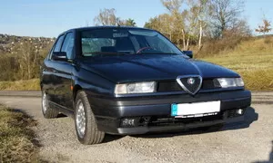 Liška aneb další zvíře na Autíčkáři