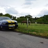 Ford Mustang 3.7 V6: Amerika ist wunderbar!
