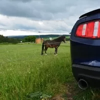 Ford Mustang 3.7 V6: Amerika ist wunderbar!