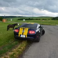 Ford Mustang 3.7 V6: Amerika ist wunderbar!