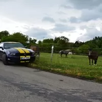 Ford Mustang 3.7 V6: Amerika ist wunderbar!