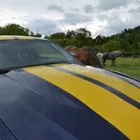 Ford Mustang 3.7 V6: Amerika ist wunderbar!