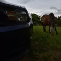 Ford Mustang 3.7 V6: Amerika ist wunderbar!