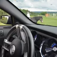 Ford Mustang 3.7 V6: Amerika ist wunderbar!