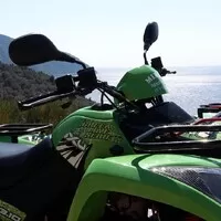 Zelená bestie
