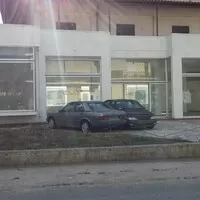 Zelená bestie
