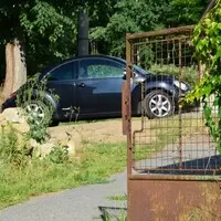 VW New Beetle: Nech brouka žít!