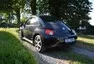 VW New Beetle: Nech brouka žít!