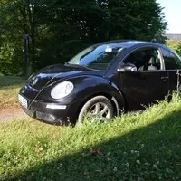 VW New Beetle: Nech brouka žít!