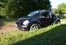 VW New Beetle: Nech brouka žít!