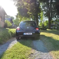VW New Beetle: Nech brouka žít!