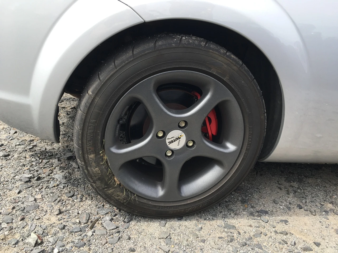Prej to žere i trávu kolem silnice