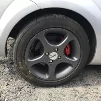 Prej to žere i trávu kolem silnice