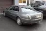 Jak Liška k Tuleňovi přišla